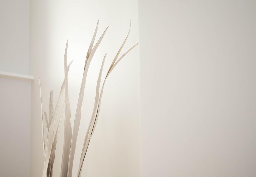 Suite - 1ª planta