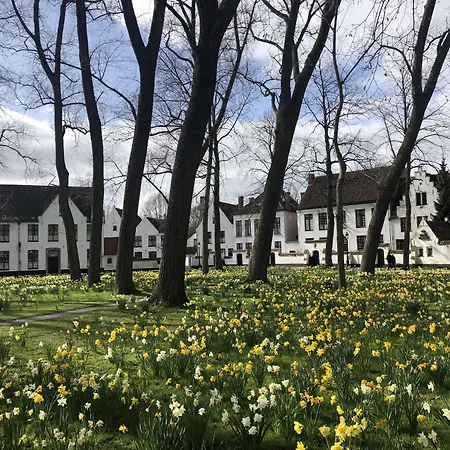 Bariseele B&B-3